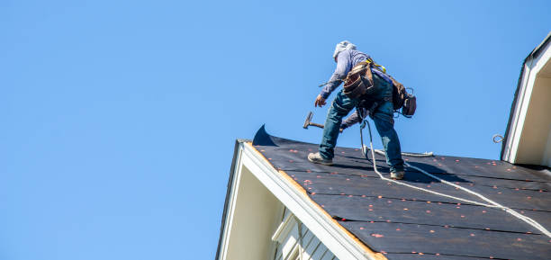 Roof Gutter Cleaning in Newfield, NJ